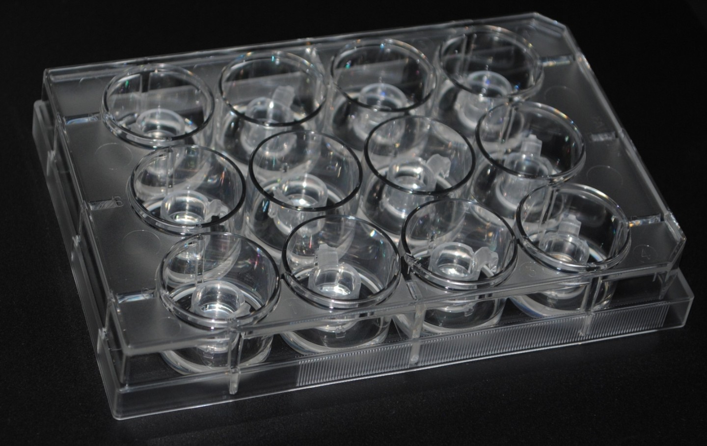 Dermal and epidermal cells isolated from canine skin are cultured in a nutrient solution and then fused to form a full-thickness skin equivalent.
