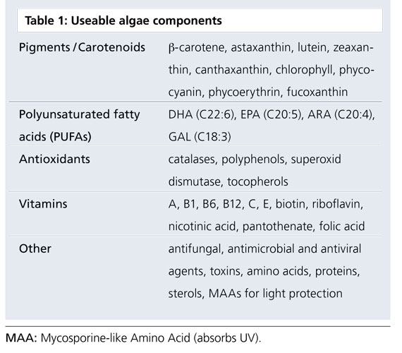 Useable algae components.