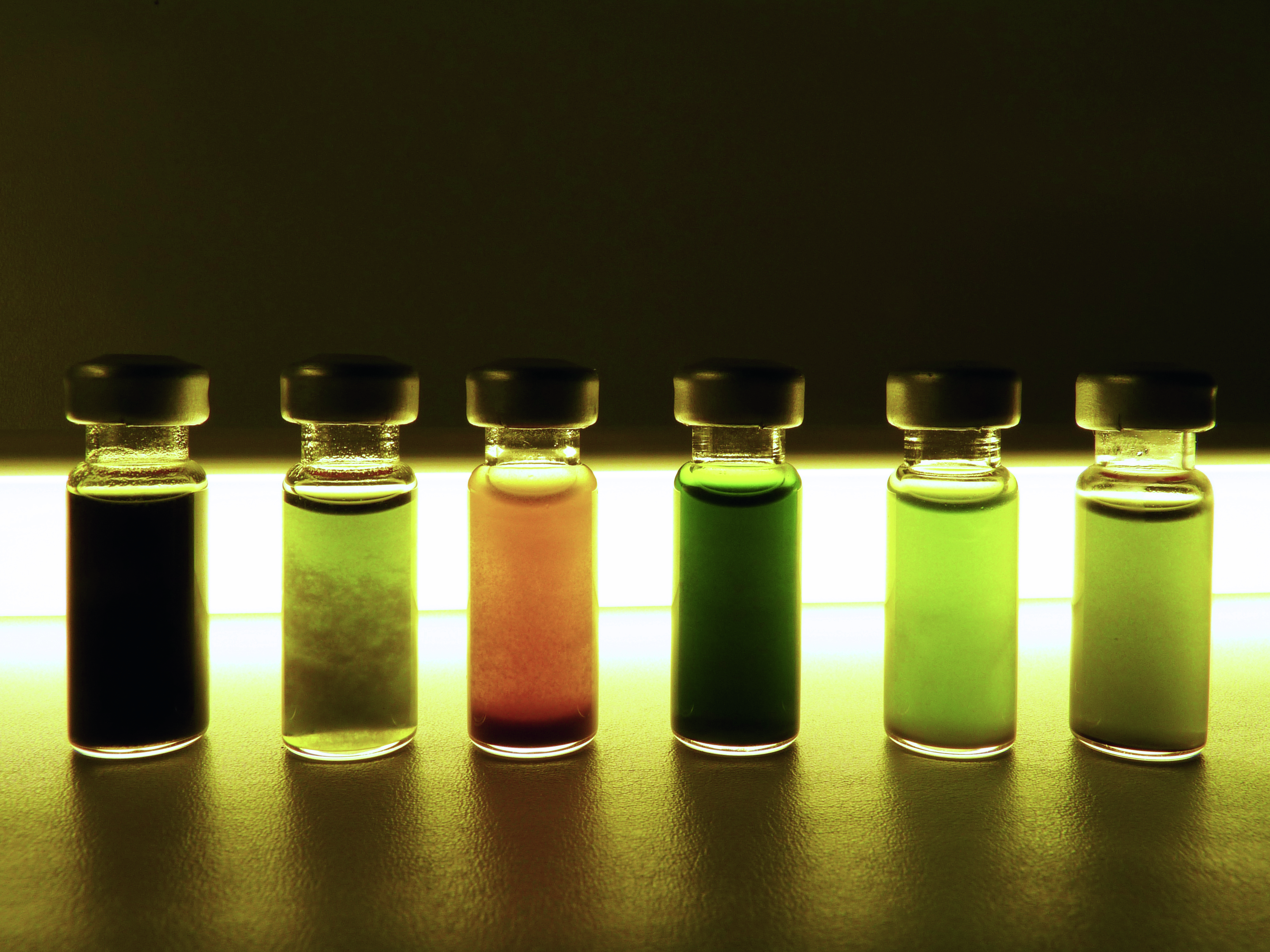 Extracts of microalgae biomass (from left to right): N. oceanica, P. tricornutum und C. vulgaris. The different color is caused by strain-specific carotenoids.