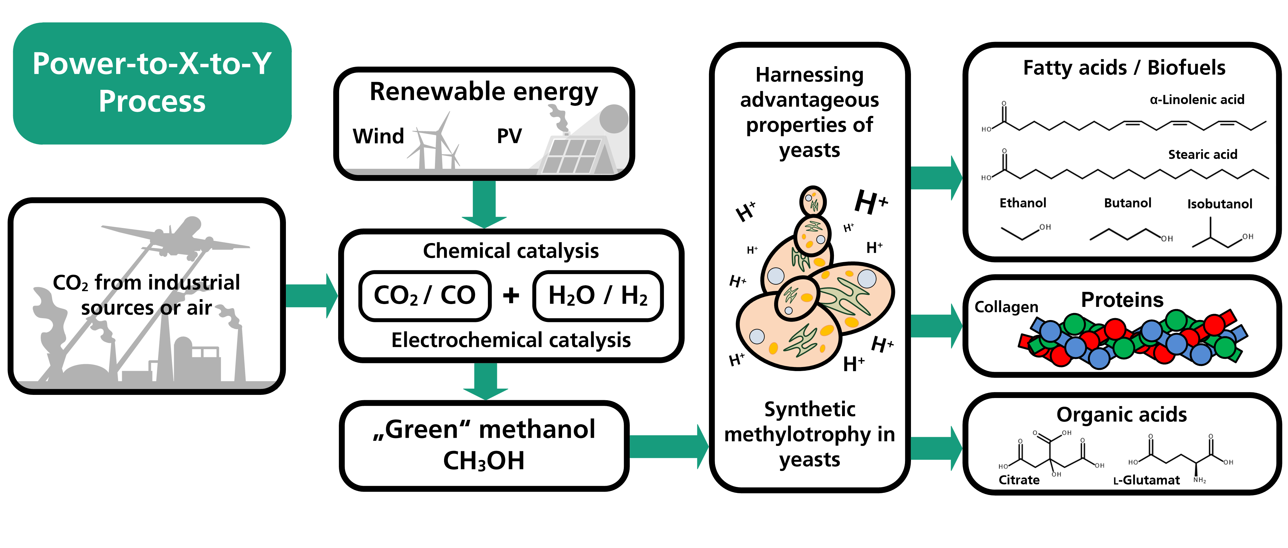 Flow diagram of a future CO<sub>2</sub> utilization cascade. Using renewable energy, Carbon Capture and Utilization (CCU) technologies, and synthetic methylotrophy in yeasts, CO<sub>2</sub> can be regarded as an almost infinitely available raw material. CO<sub>2</sub> can be used to produce high-value chemicals with a broad marketing and application potential. 