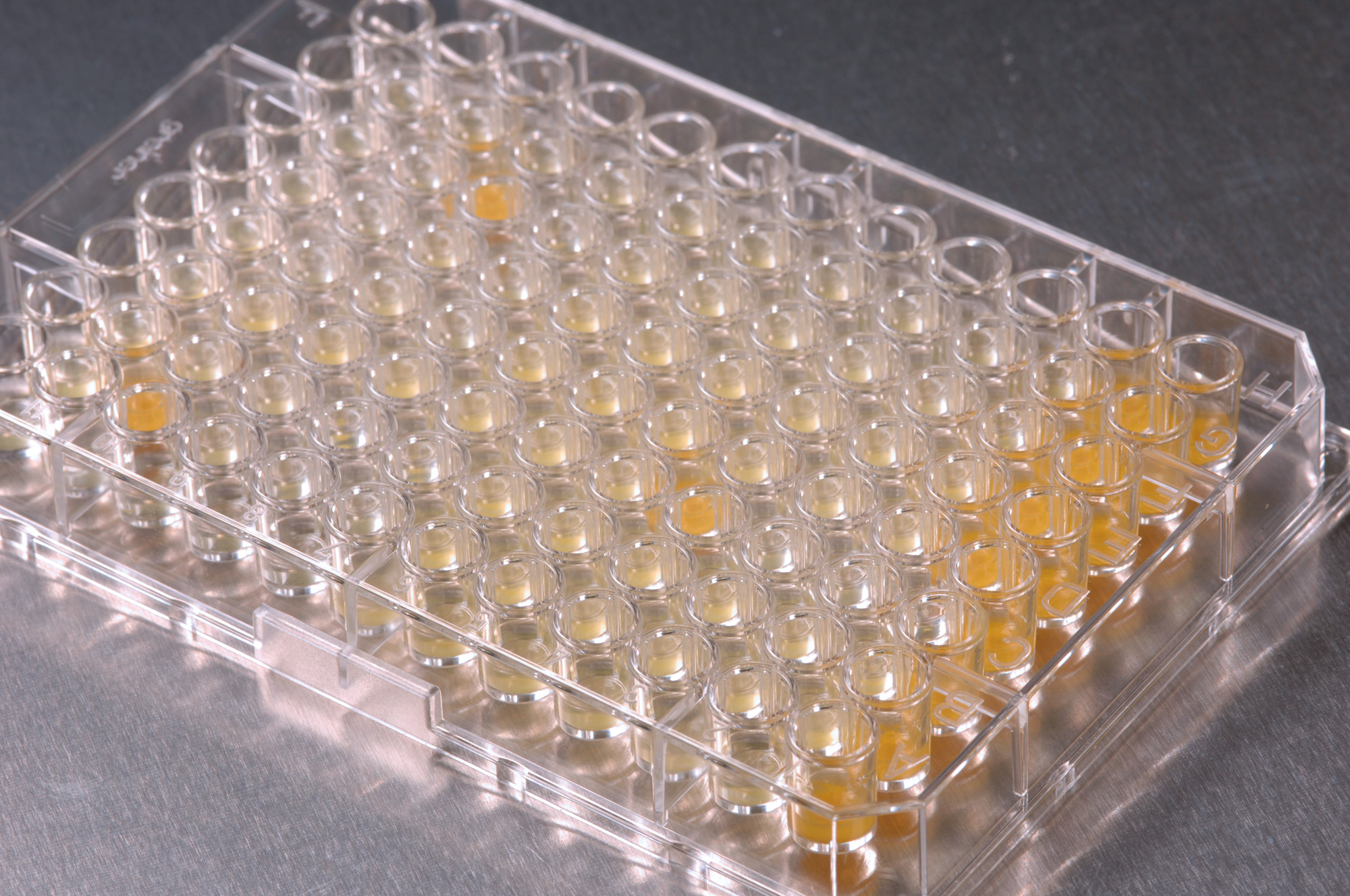 Automated High Throughput Screening (HTS) of the assay.