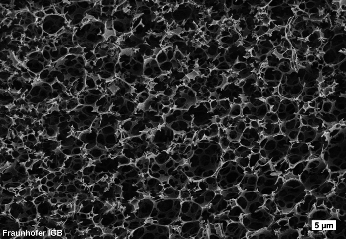Scanning electron microscope image of the manufactured foam.