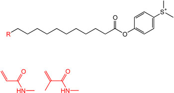 Active ester surfmers developed at Fraunhofer IGB, here with acrylamide or methacrylamide end group (R).
