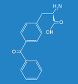 Artificial amino acids benzoylphenylalanine.