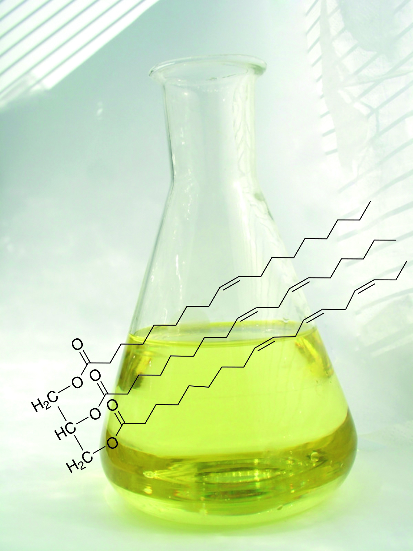 Vegetable oils as renewable raw materials for the production of epoxides.