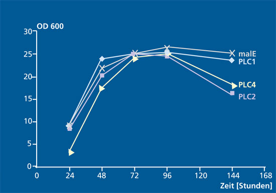 Time course of the PLC expression in K. lactis.