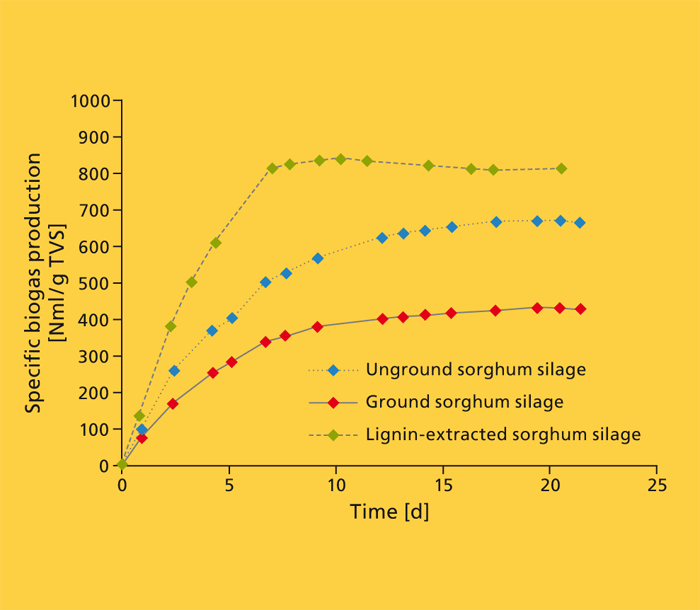 Specific biogas production of sorghum silage (800–850 vs. 430–680 NmL/g oTR).
