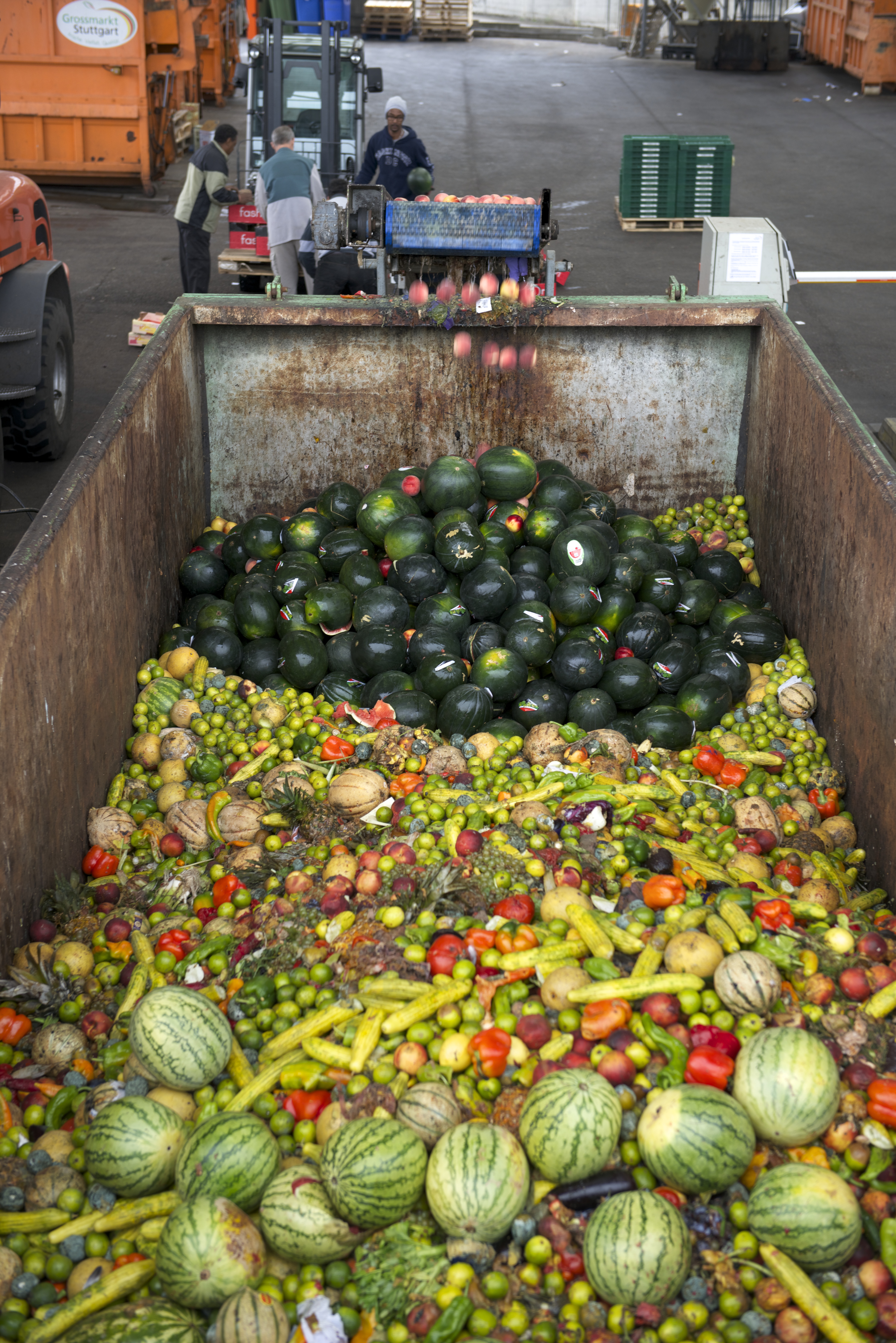 Fruit and vegetable waste from the Stuttgart wholesale market.