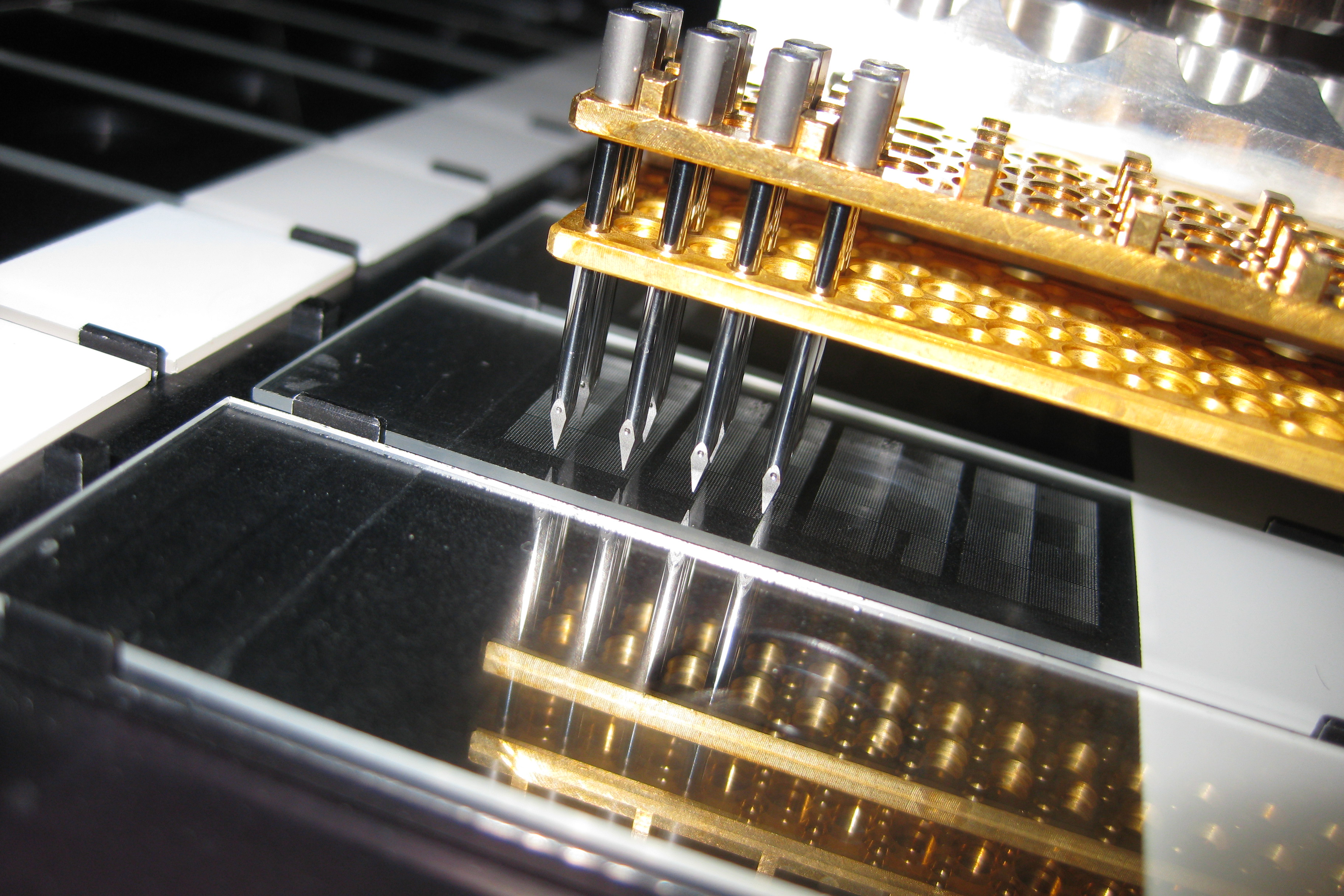 DNA-Microarray Microarray