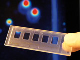 DNA microarray for routine diagnostics.
