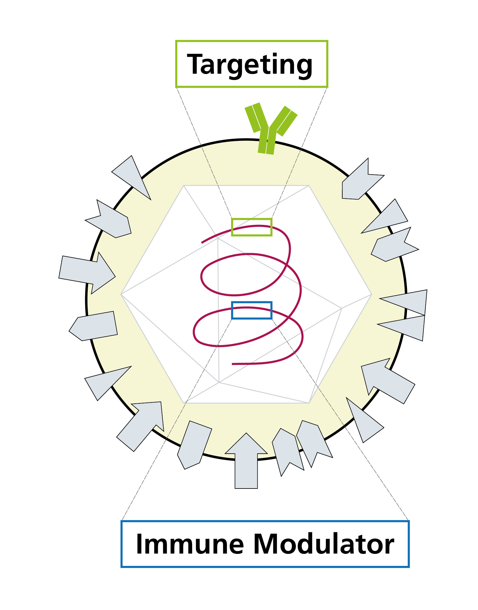 Oncolytic viruses