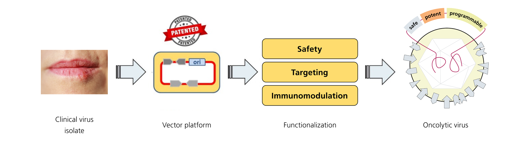 Schematic representation of the patented TheraVision platform