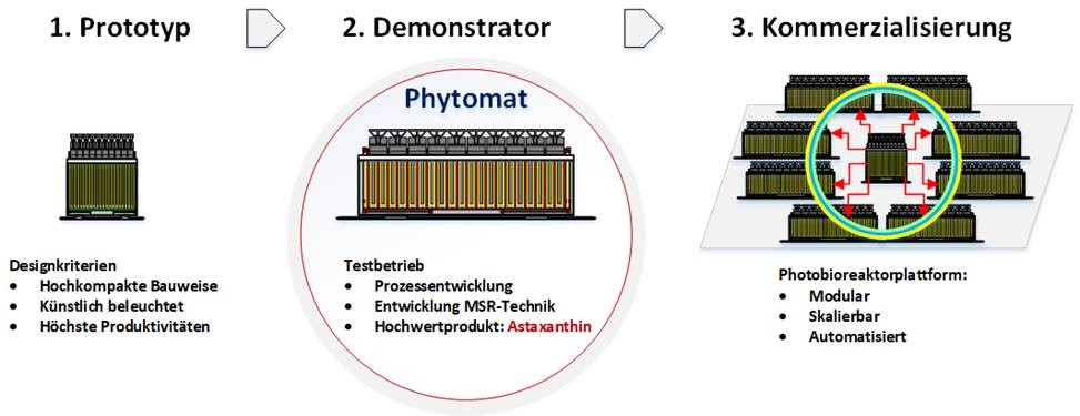 Entwicklungskonzept einer ultrakompakten, modularen und künstlich beleuchteten Photobioreaktorplattform für die Produktion von Astaxanthin.