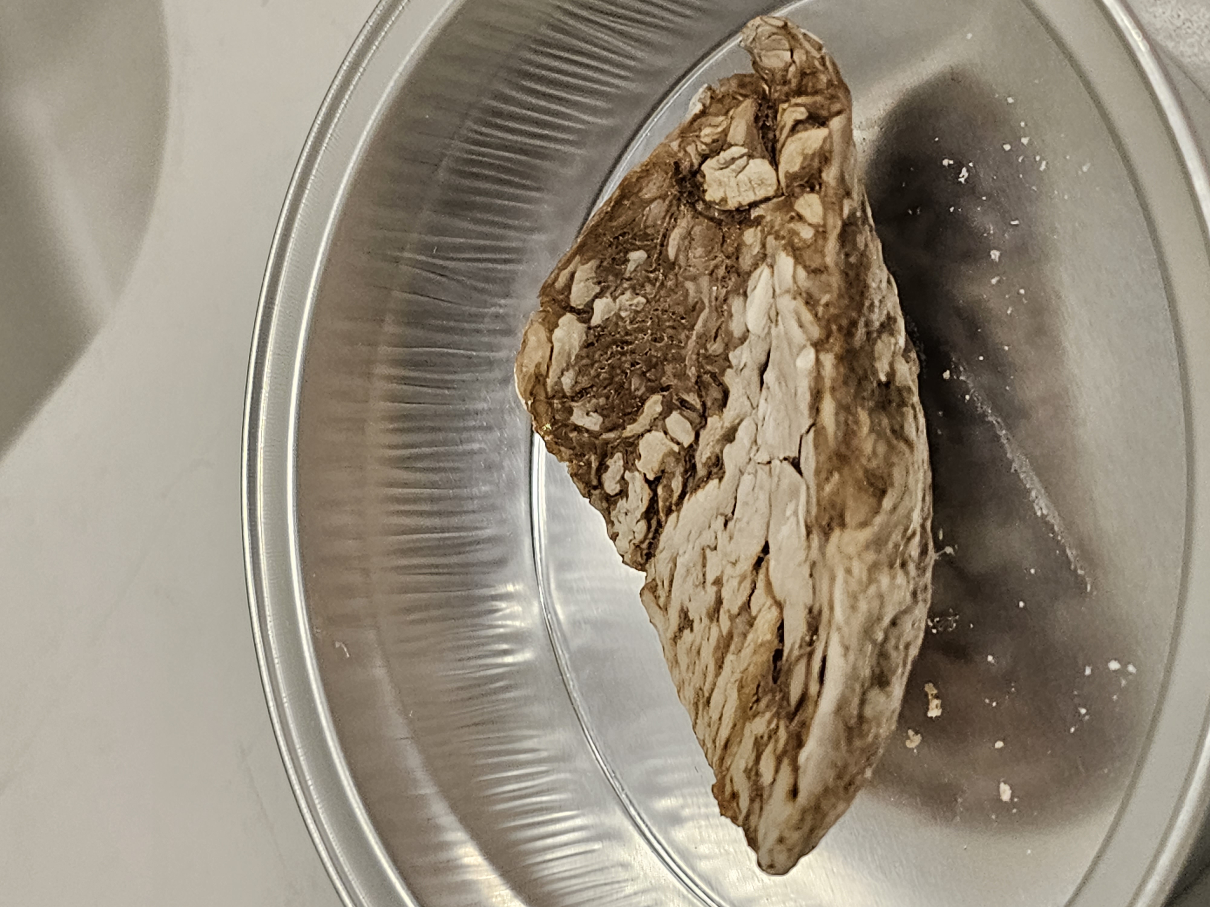 getrocknetes Pektin