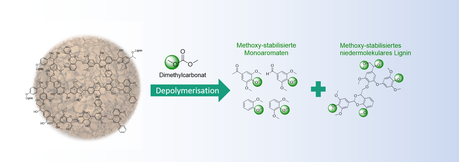 Basenkatalysierte thermische Solvolyse von Lignin in Dimethylcarbonat (DMC) zur Gewinnung von methylierten Aromaten.